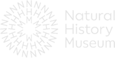 Natural History Museum