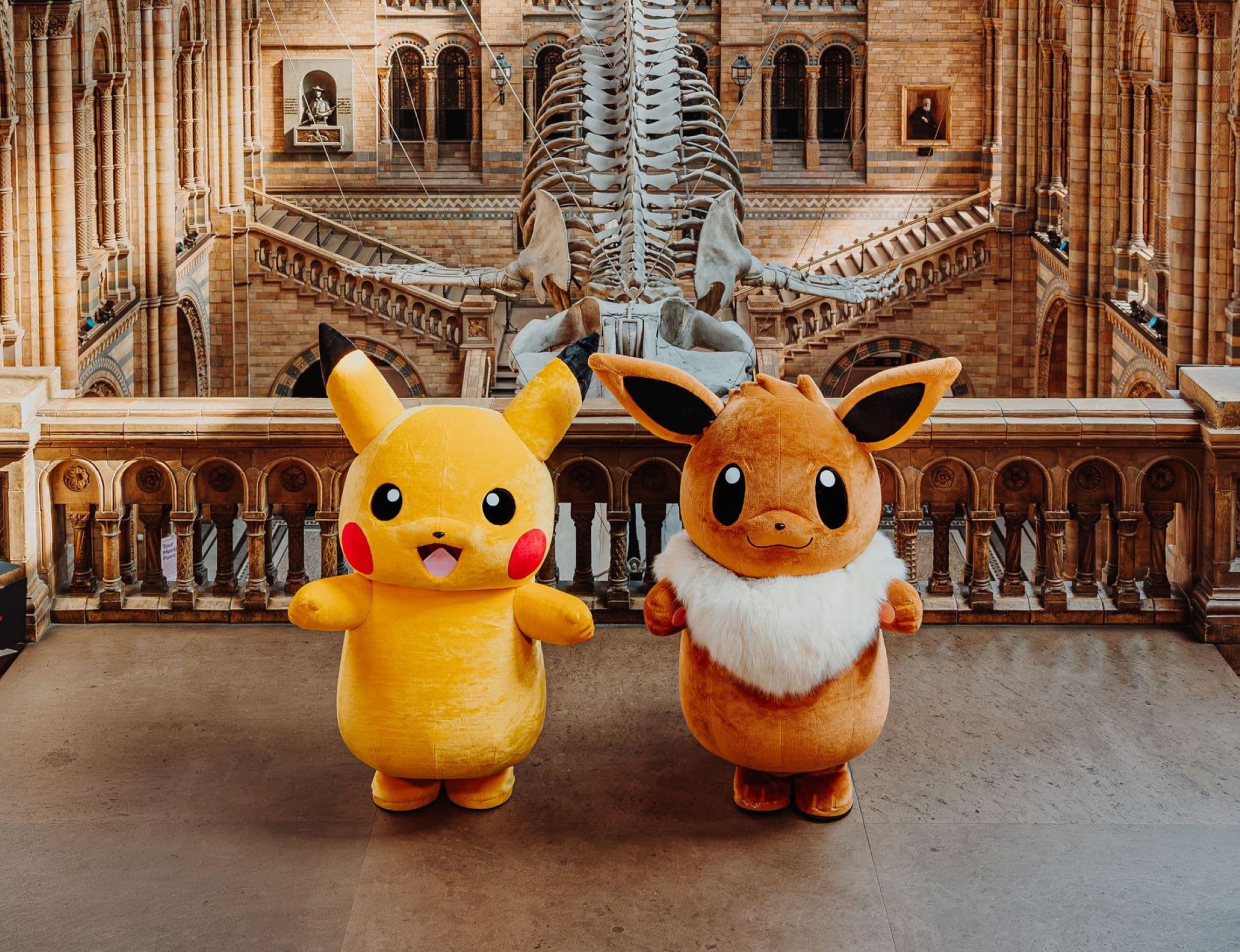 Natural History Museum fulfilment case study